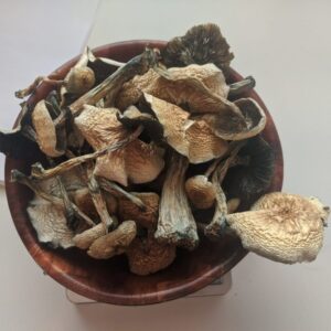 Magic Mushrooms For Sale Online