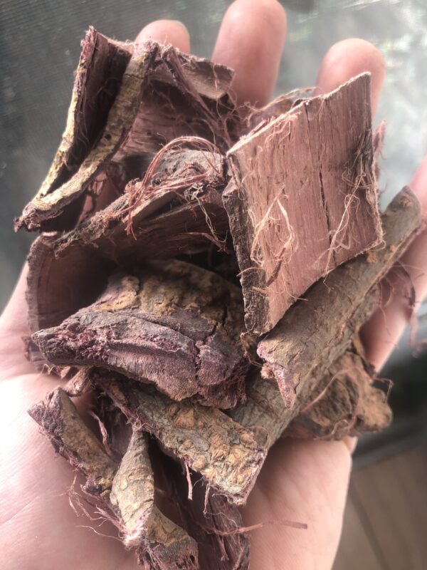 Mexican Mimosa Root Bark - Image 4