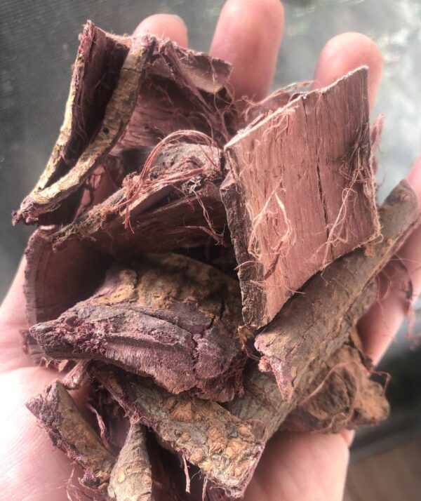 Mexican Mimosa Hostilis Root Bark